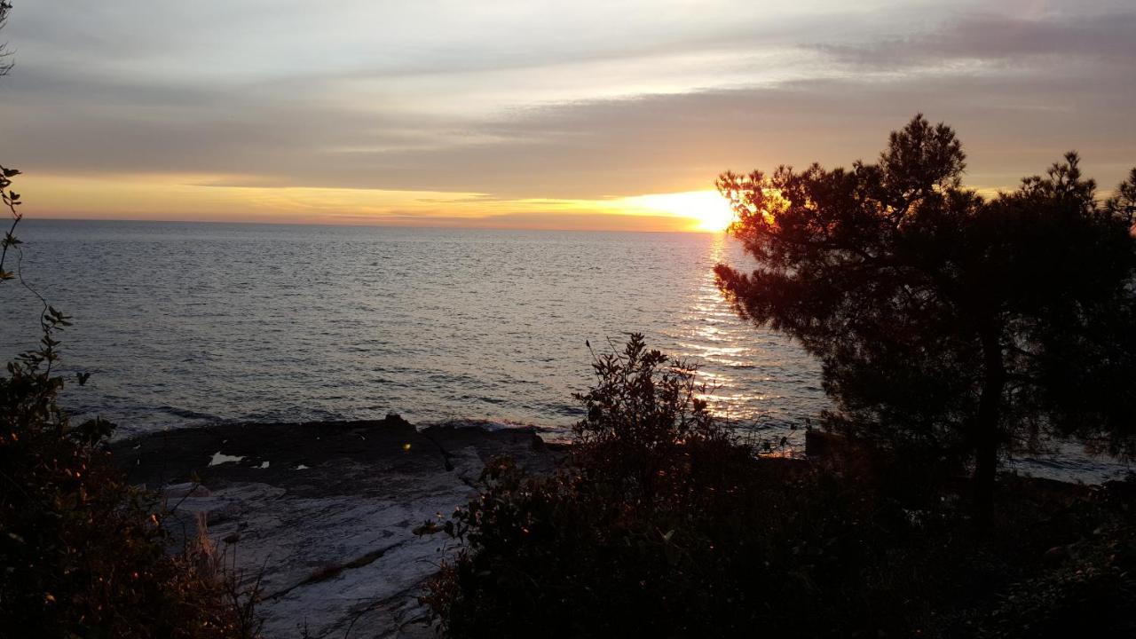 Ema Rovinj